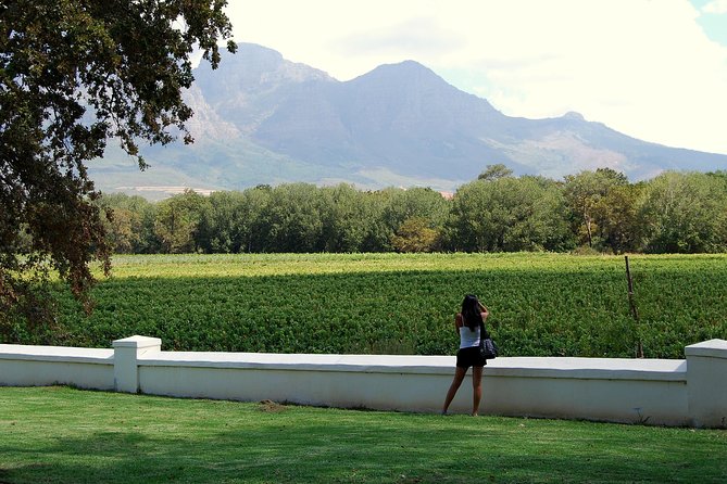 African Story Wine Tours in the Cape Winelands - Lunch at Le Pommier and the value of a real meal