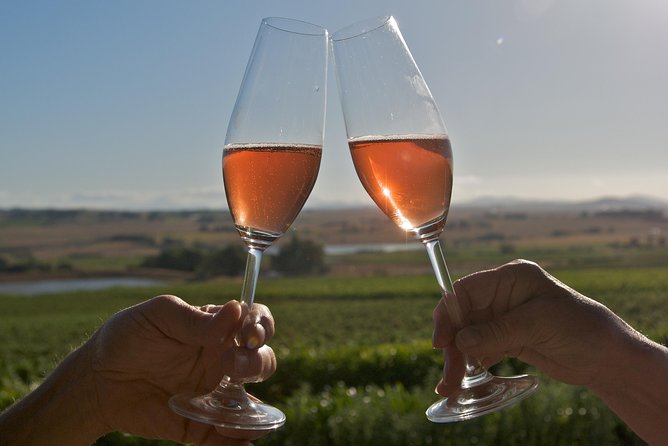 African Story Wine Tours in the Cape Winelands - Who will enjoy this wine tour most?