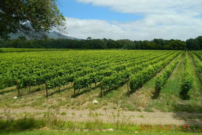 African Story Wine Tours in the Cape Winelands - Booking details and practical tips