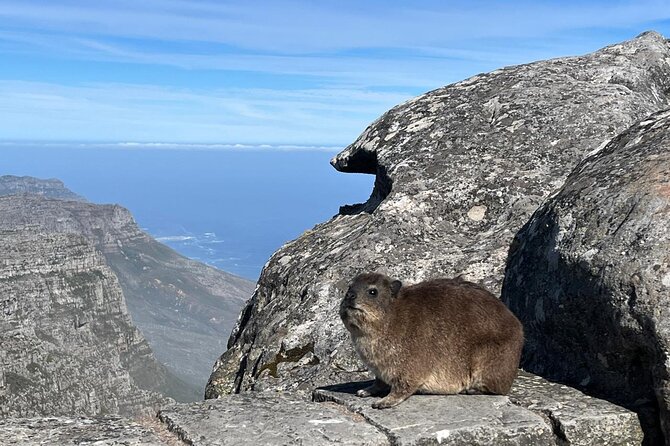 African Wonder of Nature Table Mountain Hike. - The value of $80 per person
