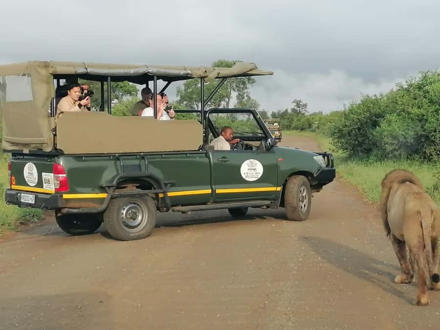 All Inclusive 3 Day Kruger Safari from Nelspruit - Key points at a glance