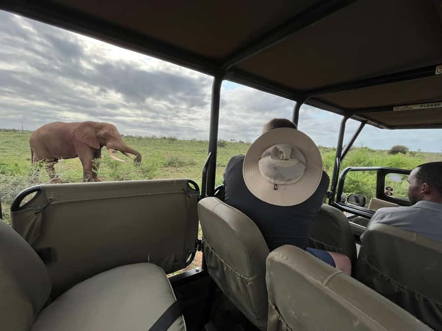All Inclusive 3 Day Kruger Safari from Nelspruit - What the open safari vehicle adds