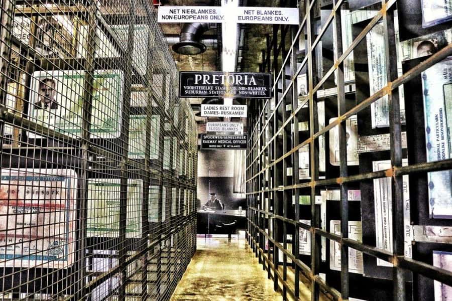 Apartheid Museum Tour - What the Timing Feels Like