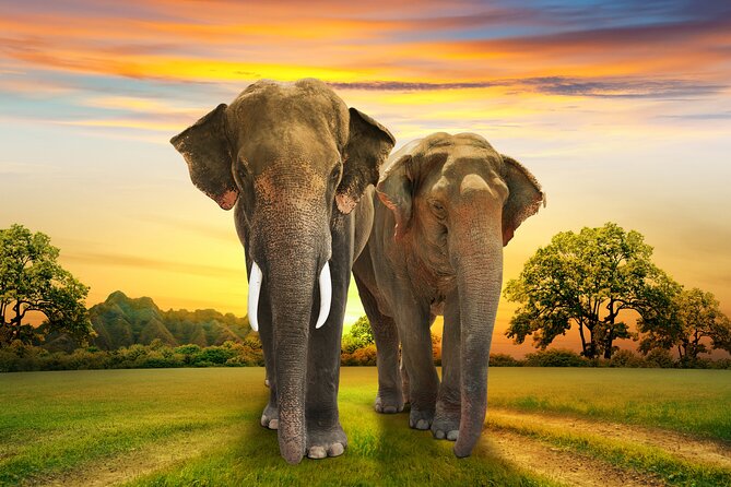 Aquila Game Reserve Safari with Park Fees, Transport & Lunch - What the guides add to the day