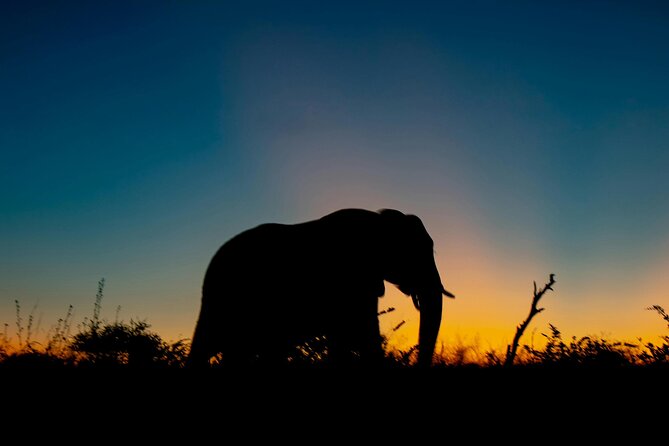 Aquila Game Reserve Sunset Safari - Key points at a glance