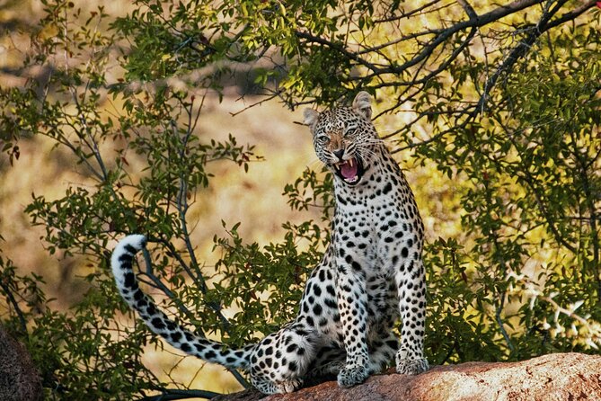 Aquila Game Reserve Sunset Safari - From Cape Town toward the Karoo