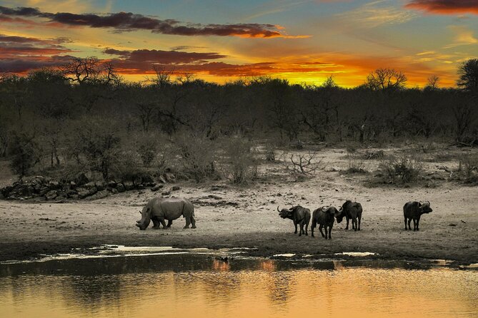 Aquila Game Reserve Sunset Safari - What the $165 price really covers