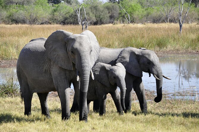 Aquila Game Reserve Sunset Safari - How the schedule fits your day