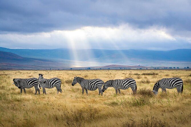 Aquila Game Reserve Sunset Safari - Who will enjoy this safari most
