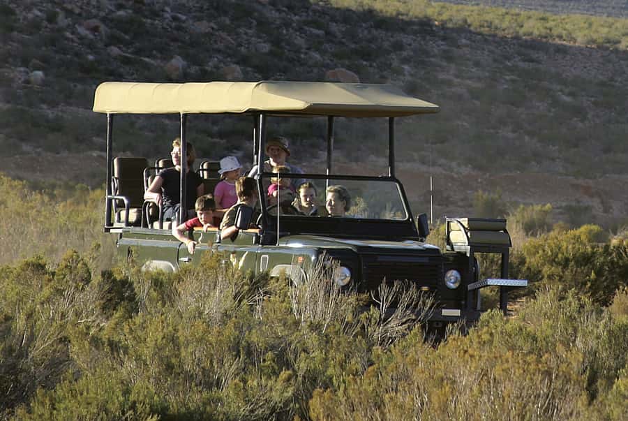 Aquila Reserve: Private Day Tour with Shared Game Drive - Key points at a glance