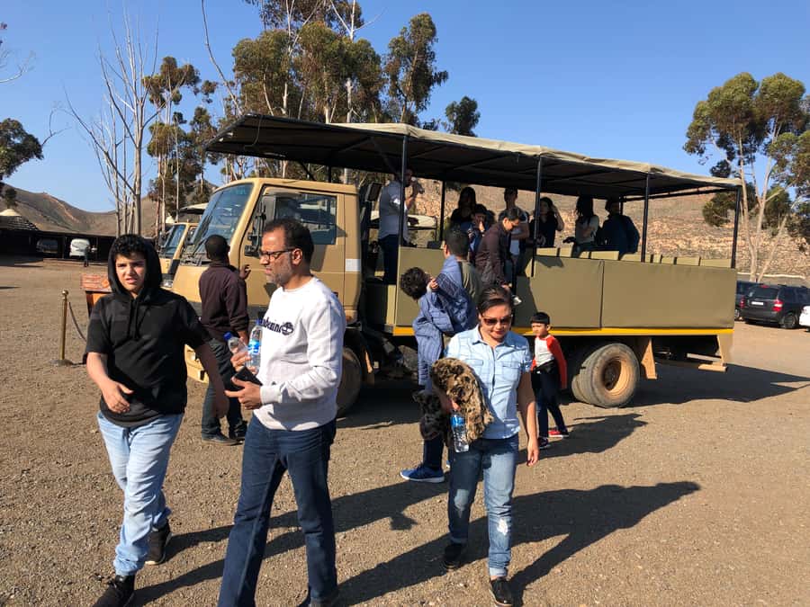 Aquila Reserve: Private Day Tour with Shared Game Drive - Lunch, pool, bar, and spa time