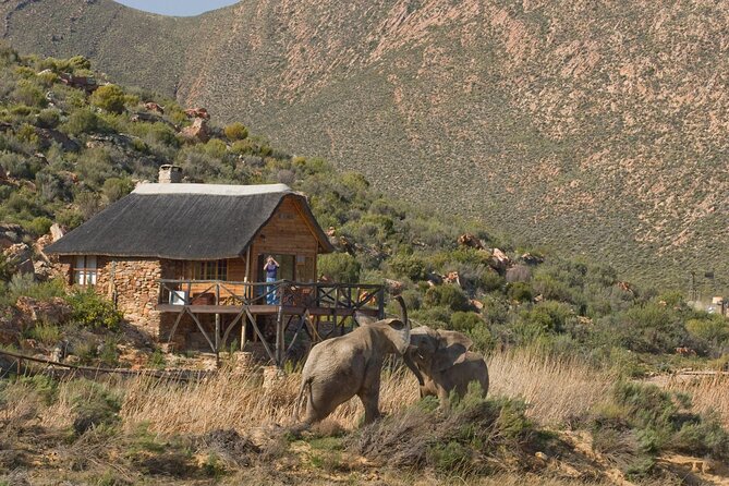 Aquila Safari Game Drive Lunch & Transfers from Cape Town - Breakfast before the three-hour game drive