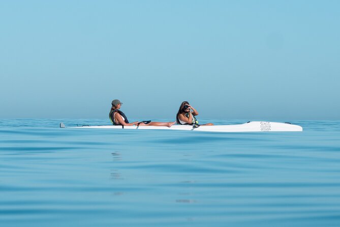 Atlantic Outlook Kayak Tour Cape Town - Why the early morning slot matters