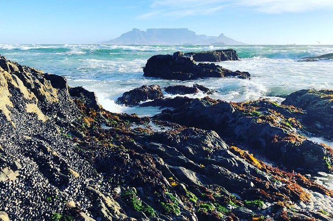 Authentic Cape Town Tour - A Cape Town day without the usual checklist