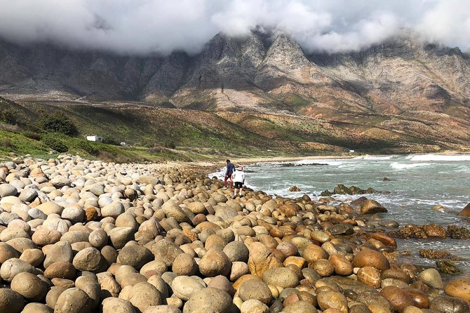 Authentic Cape Town Tour - Food, beaches, markets, and the local side of Cape Town