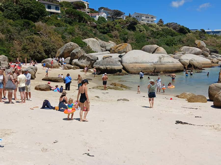 Beach Day at Boulder's Beach & Penguin watching, Half Day - A five-hour route built around Boulders Beach