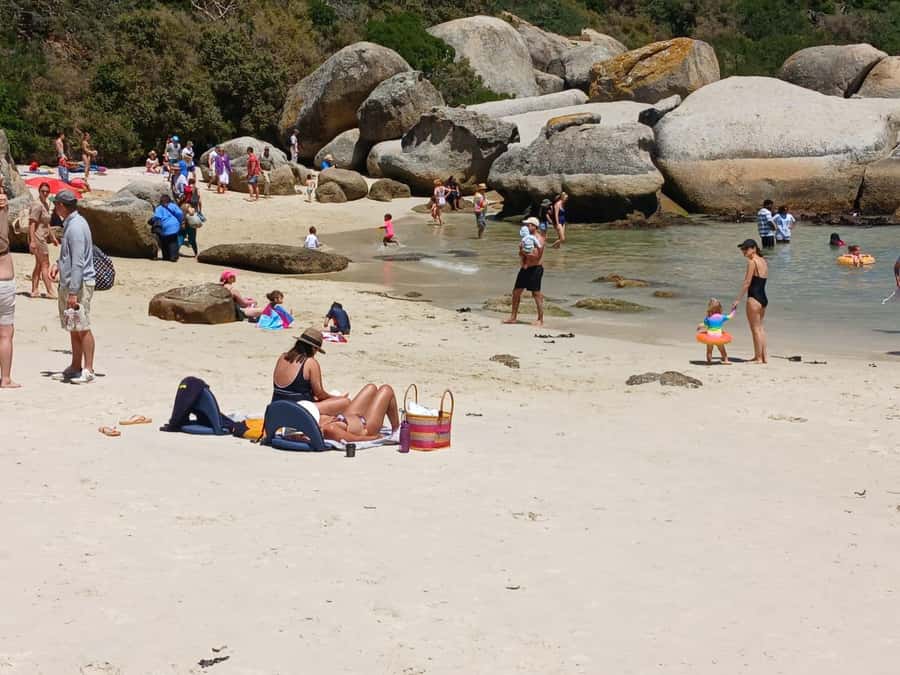 Beach Day at Boulder's Beach & Penguin watching, Half Day - Maiden’s Cove gives you the classic Camps Bay view