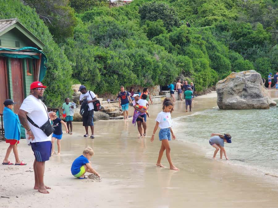 Beach Day at Boulder's Beach & Penguin watching, Half Day - Muizenberg adds a quick flash of beach culture