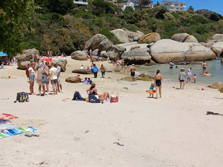 Beach Day at Boulder's Beach & Penguin watching, Half Day - What the $36 price really covers