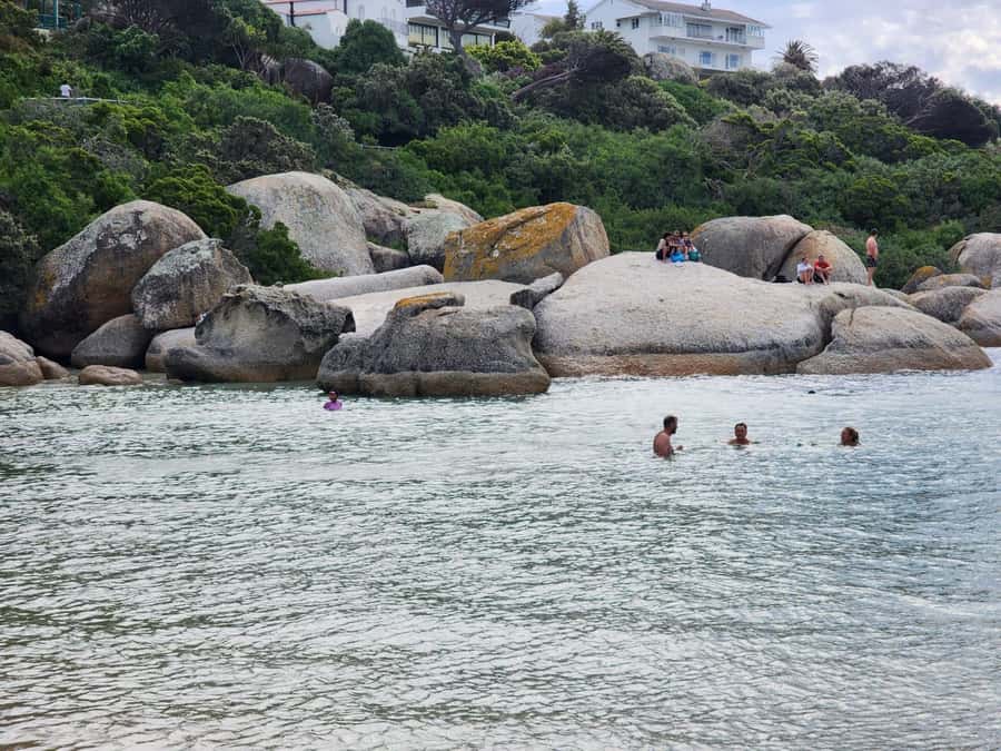 Beach Day at Boulder's Beach & Penguin watching, Half Day - Who should book this half-day outing?