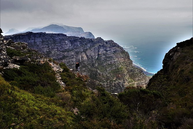 Beautiful Table Mountain Hike - What the guide adds to the day
