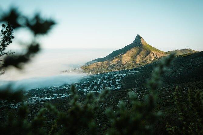 Beautiful Table Mountain Hike - Kasteelspoort - Fynbos, flowers, and small mountain details