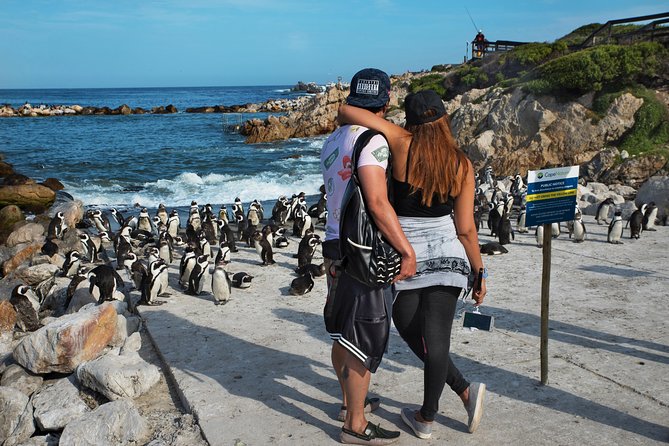 Best of Cape Town Full-Day Private Tour with Table Mountain - Boulders Beach puts African penguins close to the path