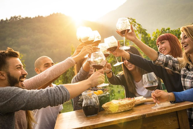 Best of Cape Town Full-Day Private Tour with Table Mountain - Constantia or Stellenbosch closes the day