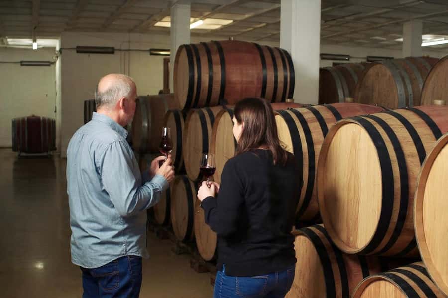 Best of the Cape Peninsula & Wine Route with Wine Tasting - Chapman’s Peak makes the drive part of the attraction