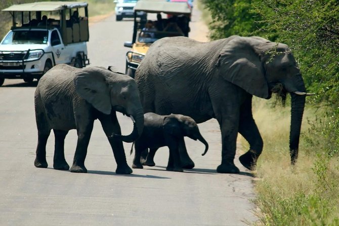 Big 5 Kruger National Park 2 Days Safari from Johannesburg - Entering Kruger through Phabeni Gate