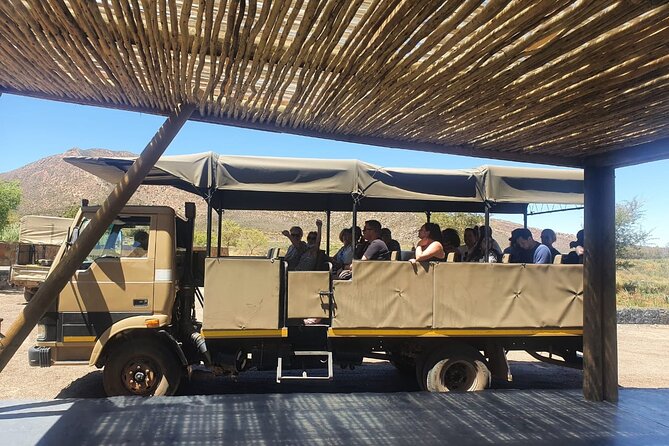 Big 5 Safari Aquila Full Day Private Return From Cape Town - Meals, welcome drink, and the timing problem