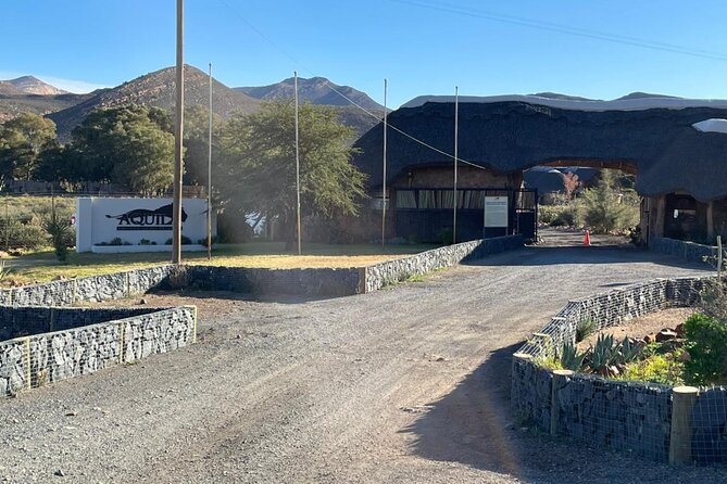 Big 5 Safari Aquila Full Day Private Return From Cape Town - Adding wine country on the way home