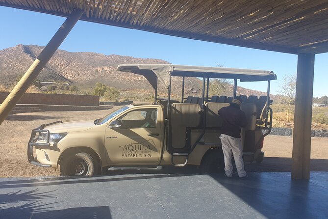 Big 5 Safari Aquila Full Day Private Return From Cape Town - Who will enjoy this Cape Town safari most?