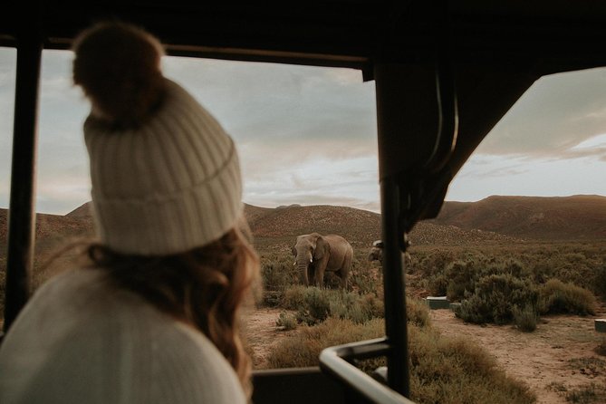 Big 5 Safari One Day Tour - Arriving at Aquila Private Game Reserve