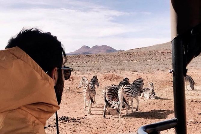 Big 5 Safari One Day Tour - Food, comfort, and what is included