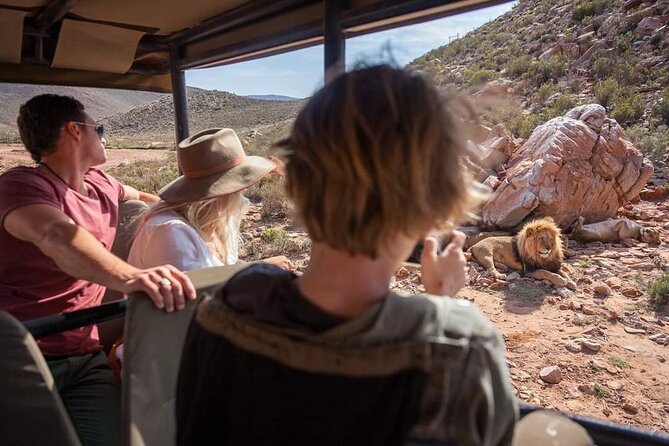 Big Five Safari Experience Near Cape Town ,South Africa - Shared Truck or Private Safari?
