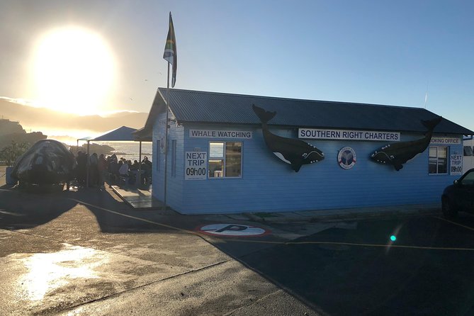 Boat Based Whale Watching from Hermanus - The guide and crew shape the experience