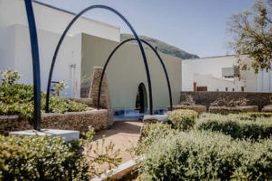 Bonnievale : Captivated By Chardonnay - Key points at a glance