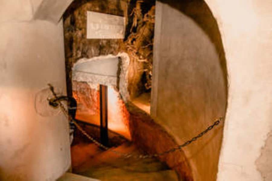 Bonnievale : Captivated By Chardonnay - Why Chardonnay takes center stage underground