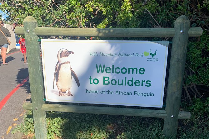 Boulders Beach Penguins and Seal Island Boat Trip Half Day Tour - Timing, pace, and what to bring