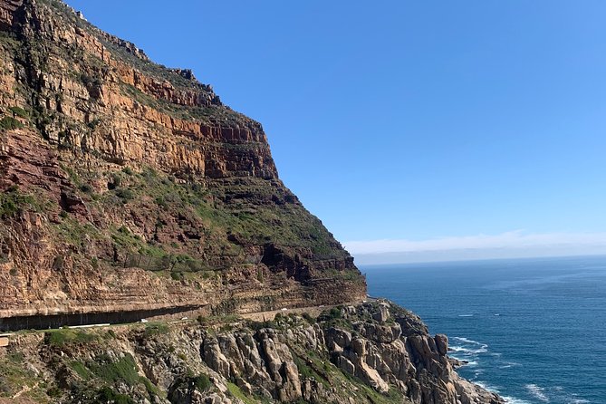 Boulders Beach Penguins and Seal Island Boat Trip Half Day Tour - Hout Bay’s Seal Island boat ride