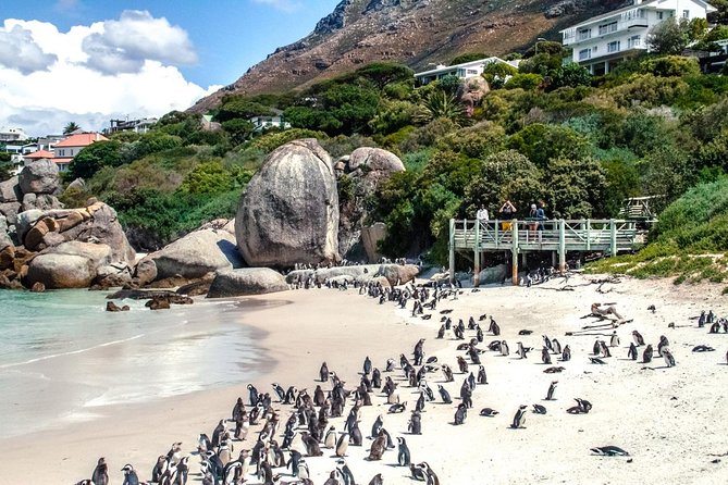 Breath-taking Cape Peninsula Tour - Who will enjoy this Cape Peninsula day