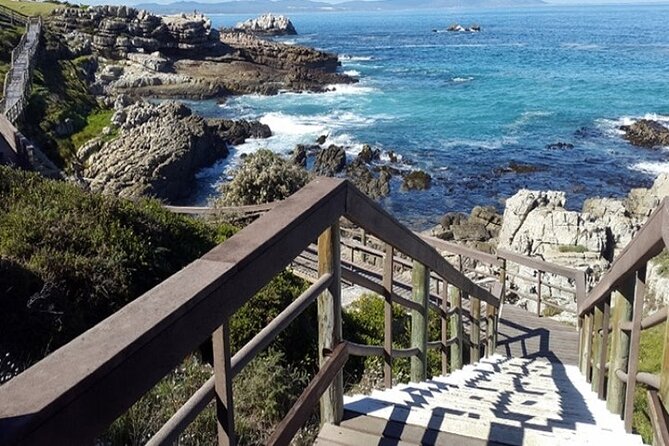 Cape Agulhas Full Day Private Tour - Hermanus and the Hemel-en-Aarde wine valley