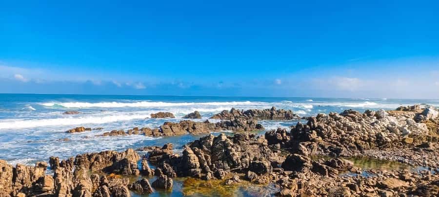 Cape Agulhas Full Day Private Tour - Who will enjoy this day most