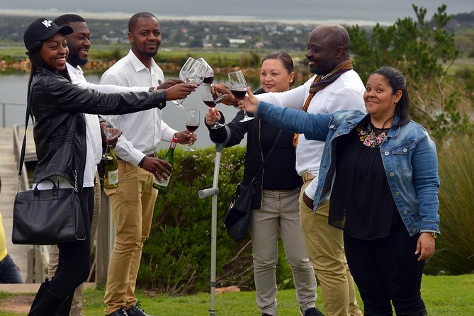 Cape Agulhas Full Day Private Tour from Cape Town - Stony Point is a strong final stop