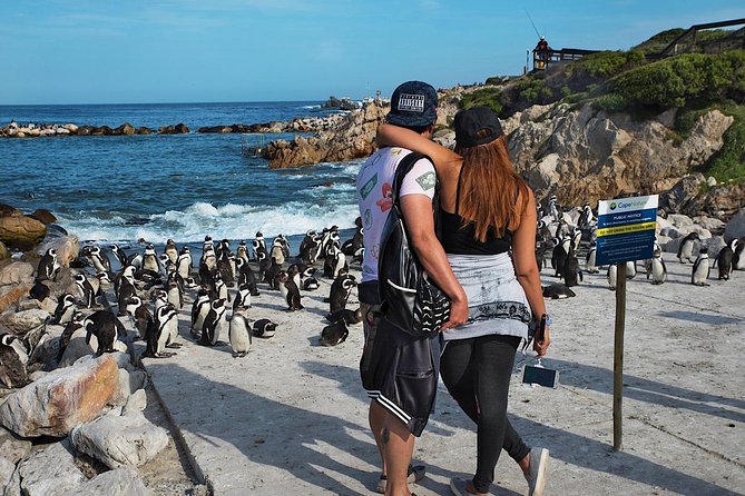 Cape Agulhas Full Day Private Tour from Cape Town - Is the $216.80 price good value?