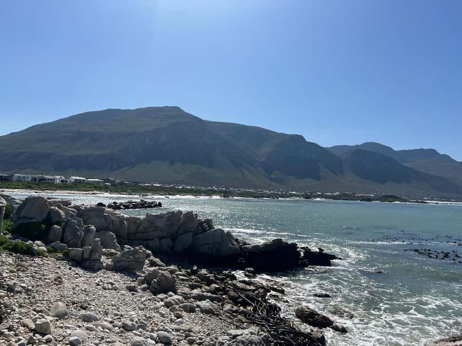 Cape Agulhas, Hermanus whales & Wine Tasting Day Trip - The guide can shape the day