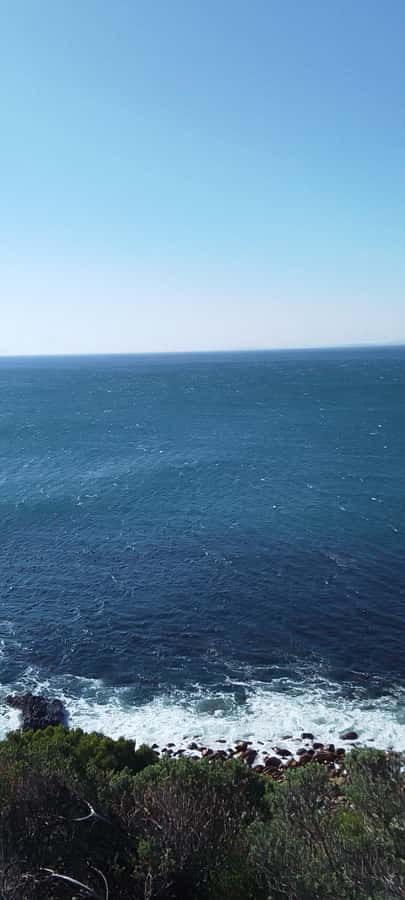 Cape Agulhas Southern Most Tip of the African continent Tour - Key points to know before booking