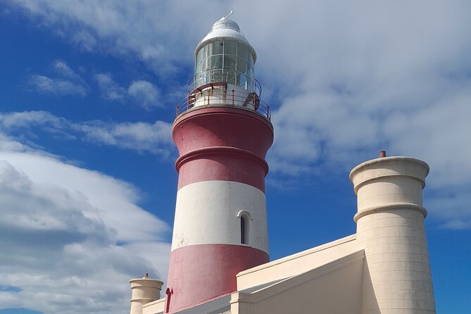 Cape Agulhas Southern Point of Africa Private Tour - Key points to know before booking