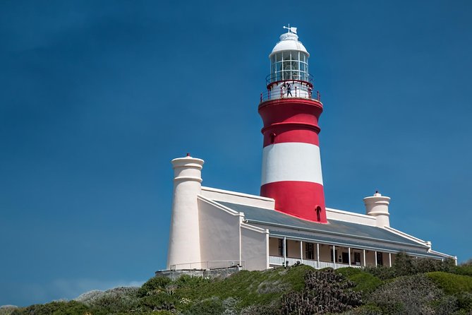 Cape Agulhas | Stony Point Nature Reserve - The Shipwreck Museum puts the coast in context